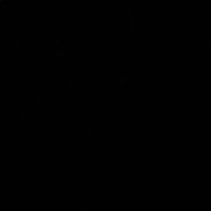 Meet your Posher, Claire